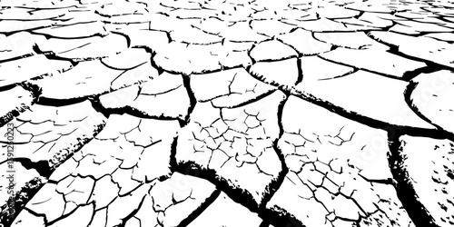 A stark, high-contrast, black and white close-up of parched, cracked earth, illustrating severe drought and environmental degradation. The cracks extend towards a vanishing point