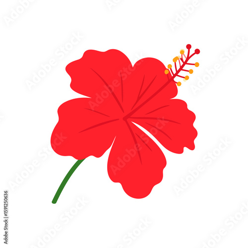 A vibrant red hibiscus flower illustration with five wavy petals and a prominent pistil, rendered in a simple, flat design style.