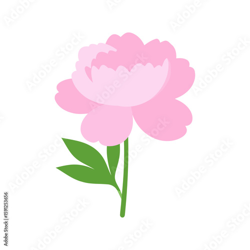Lush pink peony flower with layered petals and green leaves in a simple flat style.