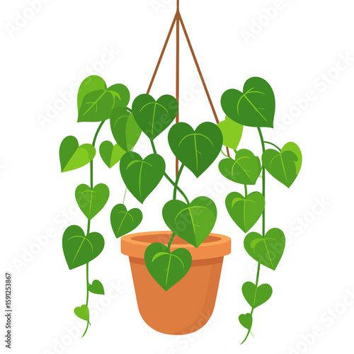 Lush hanging houseplant with green heart-shaped leaves in a simple terracotta pot, vector illustration.