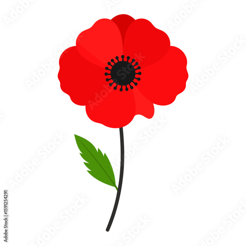 Stylized red poppy flower illustration with a black center, single stem, and green leaf.
