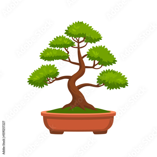 Cartoon bonsai tree with a twisted trunk and lush green foliage in a traditional terracotta pot.