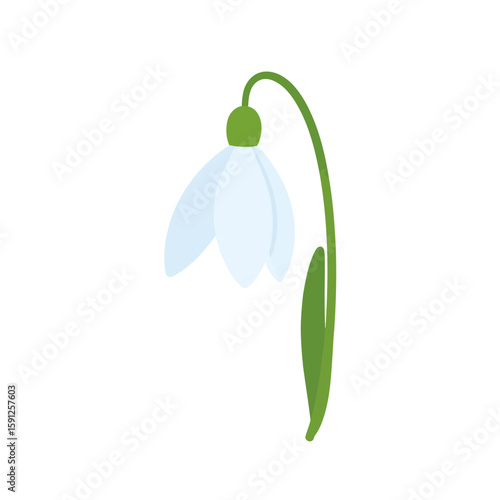 Minimalist flat illustration of a single snowdrop flower with a drooping white blossom and curved green stem.