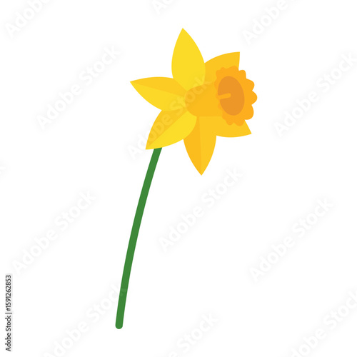 Vibrant yellow daffodil illustration with a ruffled orange corona and a simple green stem.