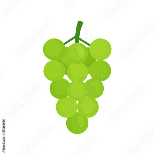 Vibrant bunch of green grapes with a stem, depicted in a simple, flat vector illustration style.