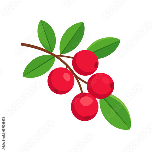 Branch of ripe red lingonberries with vibrant green leaves