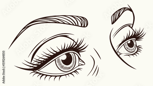 Eyes drawing sketch of female eye with eyebrow and lashes vector illustration for beauty and fashion design