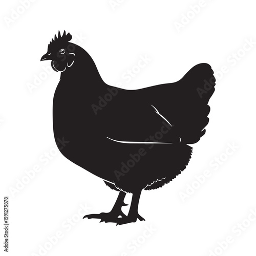 Rhode Island Red Hen Silhouette Vector
