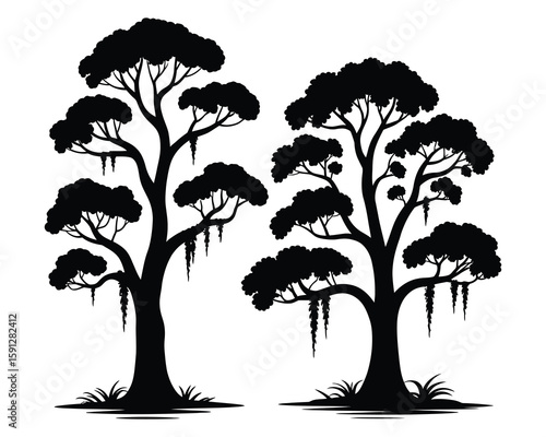Cypress tree vector illustration with moss 