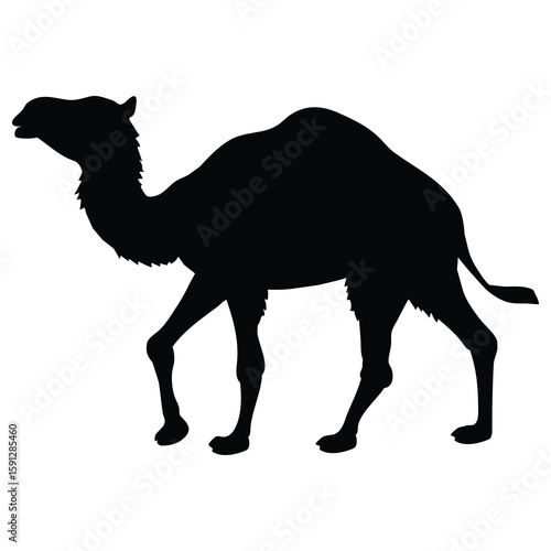 Camel  silhouette vector cartoon illustration