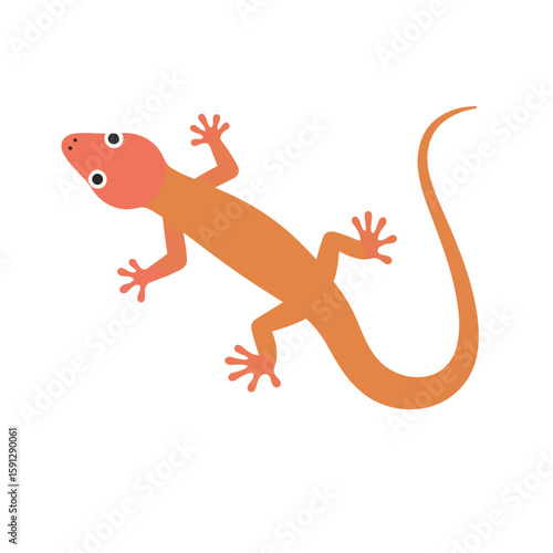 Cute orange gecko illustration with a coral head, big eyes, and a long curved tail.