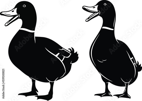Dual duck silhouette illustration offering animal, design, and minimalist appeal, presenting waterfowl in artistic form. 