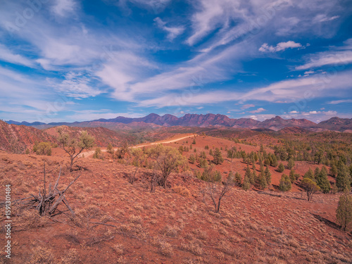 Flinders Ranges View
