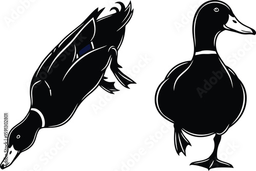 Elegant Duck Pair Illustration Wildlife Art for Nature Enthusiasts and Animal Lovers
