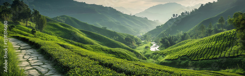panorama of the mountains