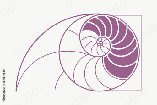 Nautilus shell Fibonacci spiral geometric pattern purple