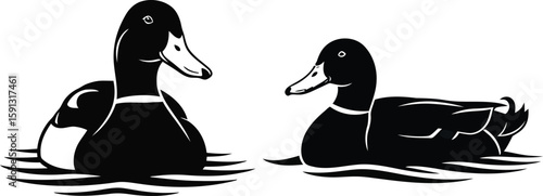 Serene Ducks on Water Illustration, aquatic wildlife, elegant avian scene, detailed black and white vector art.