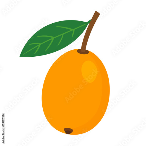 Stylized orange loquat fruit with a single green leaf and stem, isolated illustration.