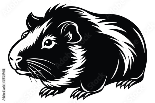 Outlined guinea pig showing its round, chubby body and cute facial features