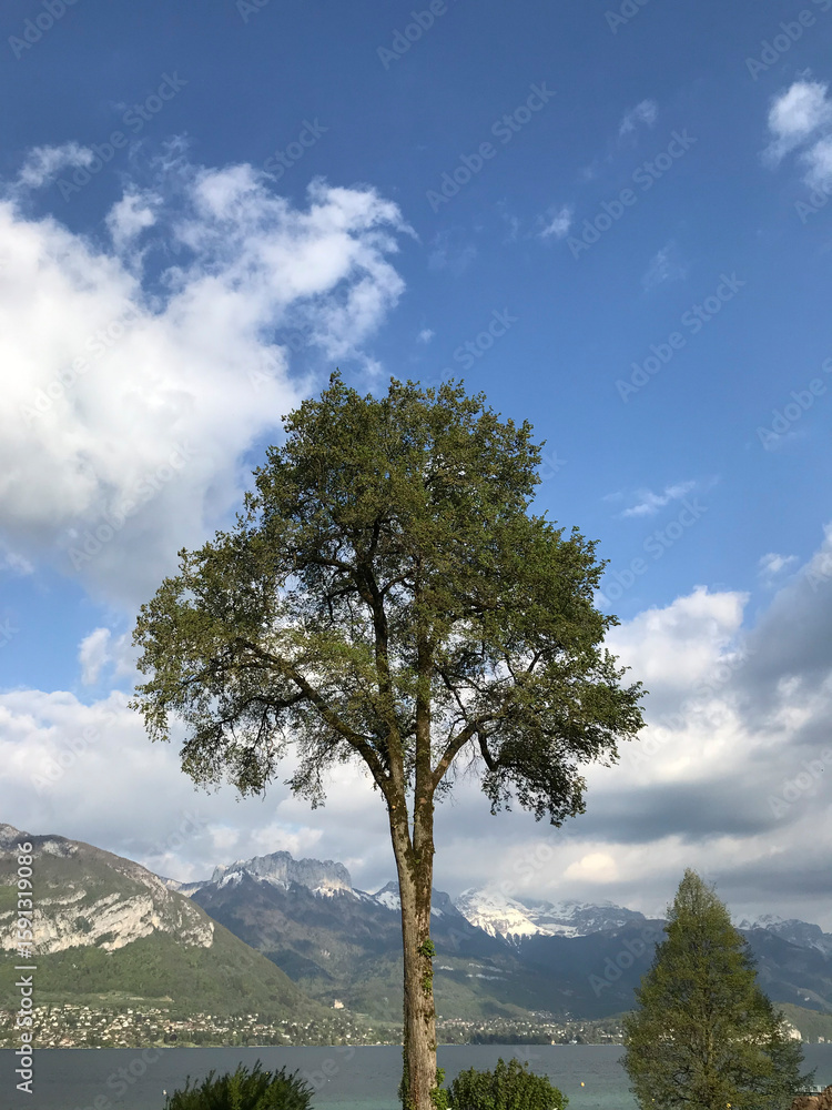 Obraz premium views from the shore of lake annecy