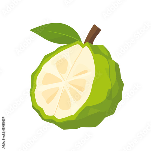 Halved green custard apple illustration with bumpy skin, creamy pulp, and a single leaf.