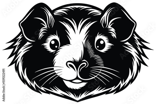 Front view of a guinea pig face displays in black and white contrast