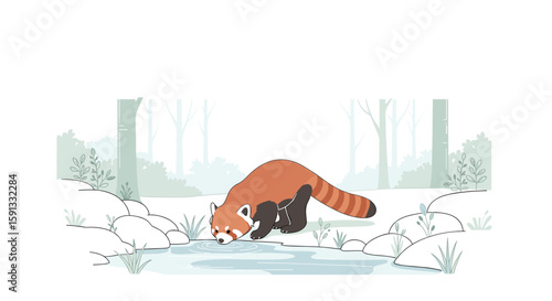  Red panda drinking water in snowy forest illustration