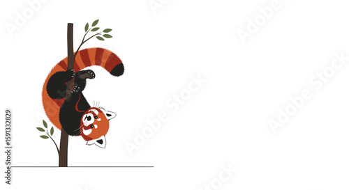 Red panda hanging upside down on tree in cute cartoon illustration