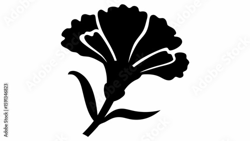 Illustration of a stylized black carnation flower with stem and leaves on white background design art
