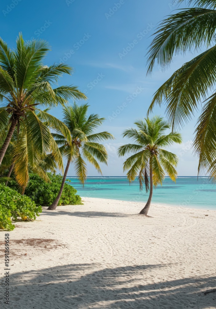 Obraz premium Tropical paradise beach with palm trees, turquoise ocean, and sunny sky perfect for a summer vacation, turquoise ocean, and sunny sky perfect for a summer vacation