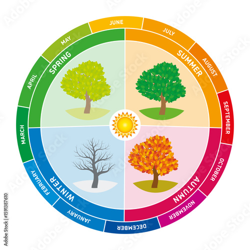 Annual cycle. A circular chart depicts the four seasons, each represented by a tree showing changes in foliage. Months arranged around outer edge, indicating transitions from spring through winter.