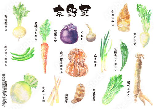京野菜の水彩イラストセット – 日本の伝統野菜