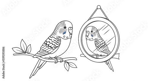 Contemplative Budgerigar: An artistic illustration of a budgerigar gazing at its reflection, evoking a sense of introspection and self-awareness.