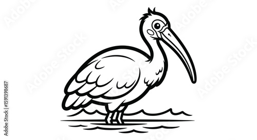 Elegant Ibis Silhouette: A graceful ibis stands tall in a monochrome illustration. The stark contrast of black and white accentuates the bird's elegant form.