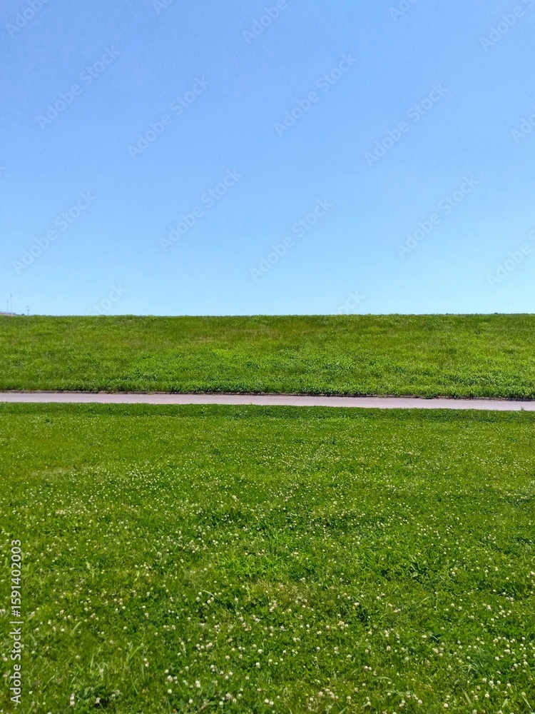 Obraz premium 初夏のシロツメクサ咲く江戸川河川敷の草原と土手風景