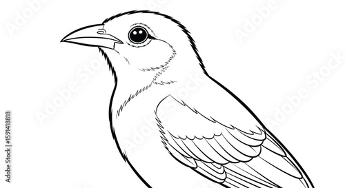 Detailed Alert Mynah Bird Profile Coloring Page Design for Mindful Adult Engagement