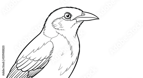 Intricate Alert Mynah Bird Profile Detailed Coloring Page for Adults and Bird Enthusiasts