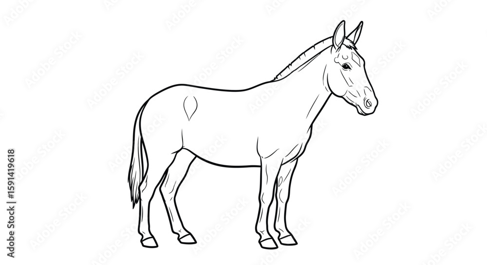 Obraz premium Detailed Asian Mule Standing Still Coloring Page for Adults and Equine Art Enthusiasts