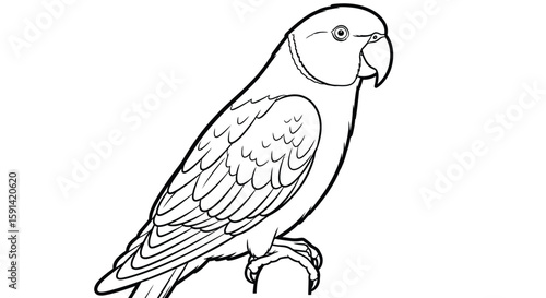 Intricate Curious Indian Ringneck Parrot Coloring Page Design for Mindful Adult Engagement