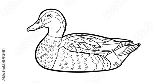 Detailed Silky Asian Duck Side Profile Intricate Coloring Page for Adult Artistic Expression