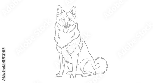 Cute Sitting Indian Spitz Dog Breed Detailed Coloring Page for Adult Pet Lovers