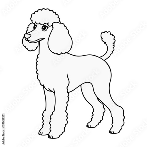 poodle dog line vector illustration isolated on white background ai generated