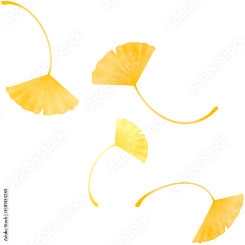 가을에 사용하기 좋은 떨어지는 은행잎, 낙엽 일러스트