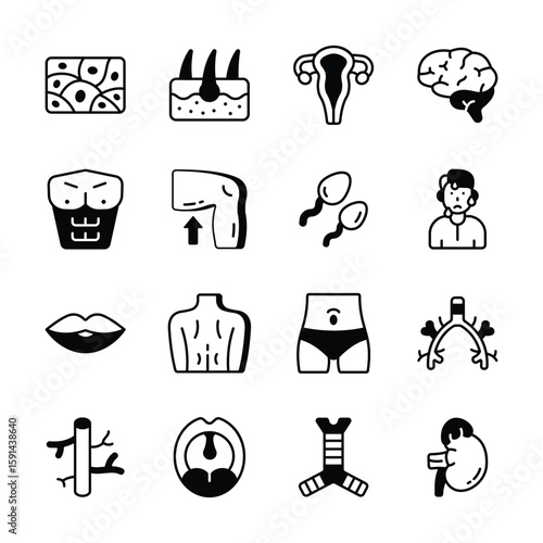 Grab this latest bundle of bioscience and human anatomy glyph style icons