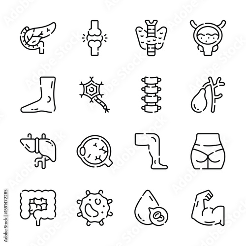 Get this modern pack of biology and human anatomy outline icons