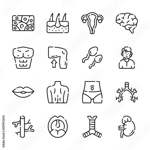Grab this latest bundle of bioscience and human anatomy outline style icons
