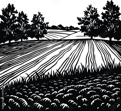 Rolling Hills of Agricultural Fields Under a Vast Sky with Tall Trees and Grassy Foreground