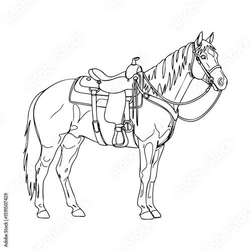 Vector line art of a saddled horse standing, detailed outline showing riding gear and Western equestrian style for ranch and rodeo themes.