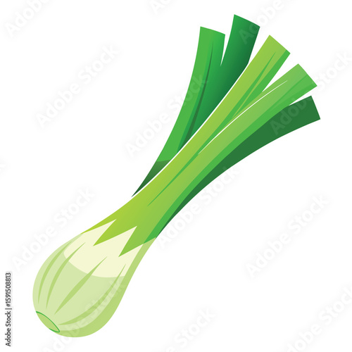 A single fresh leek, sliced to show its layers, a healthy and popular vegetable in cooking, on a clean white background.
