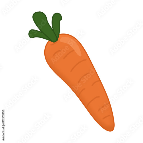 carrot vector illustration